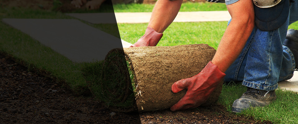 Bolingbrook Landscapers